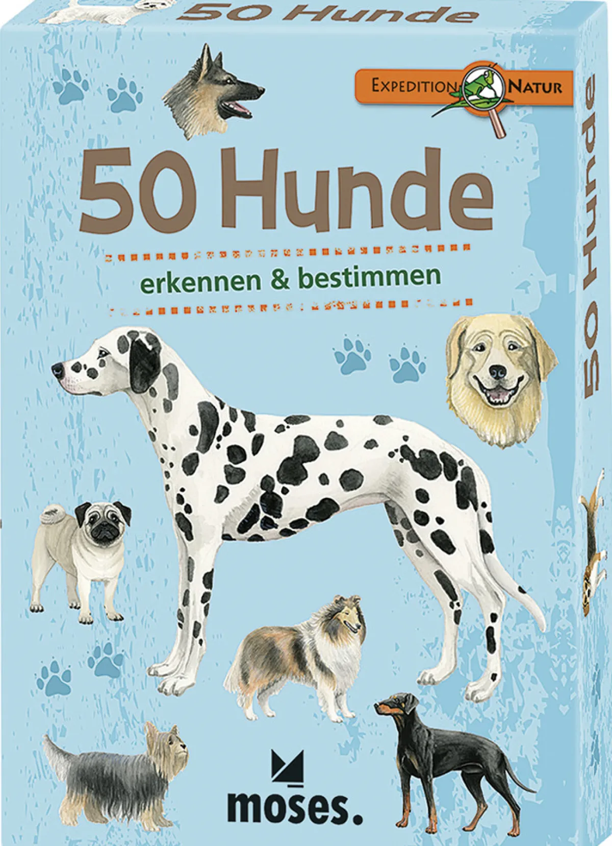 Waschbär 50 Hunde. Online