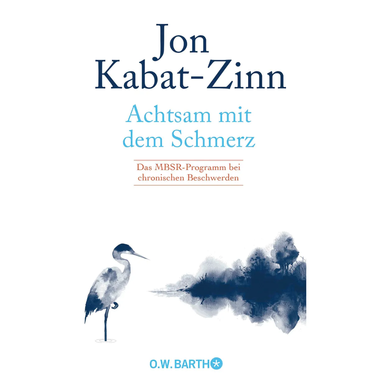 Waschbär Achtsam mit dem Schmerz. Das MBSR-Programm bei chronischen Beschwerden. Outlet
