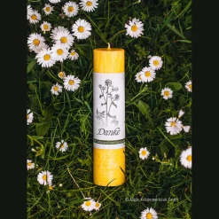 Waschbär Allgäuer Heilkräuterkerze »Danke«. Best