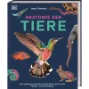 Waschbär Anatomie der Tiere. Das geheimnisvolle Innenleben unter Fell, Federn und Schuppen. Online