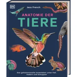 Waschbär Anatomie der Tiere. Das geheimnisvolle Innenleben unter Fell, Federn und Schuppen. Online