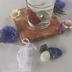 Waschbär »AquaViva«-Set zur Wasseraufbereitung. Fantasie. Sale