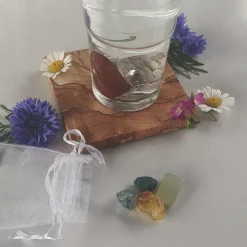 Waschbär »AquaViva«-Set zur Wasseraufbereitung. Nieren. Discount