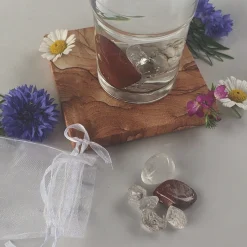 Waschbär »AquaViva«-Set zur Wasseraufbereitung. Schutzfunktion. Best