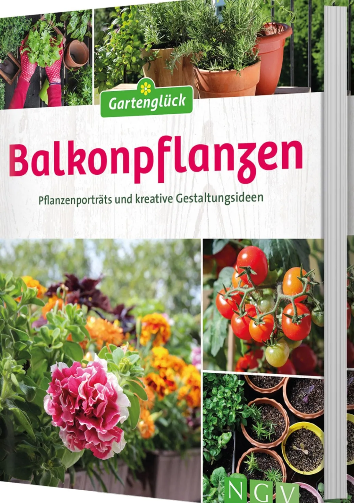 Waschbär Balkonpflanzen. Pflanzenporträts und kreative Gestaltungsideen. New