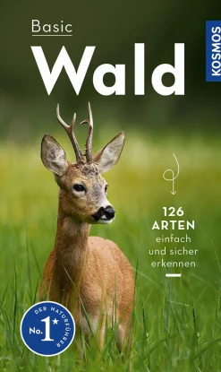 Waschbär Basic Wald. Discount