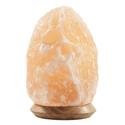 Waschbär Beleuchteter Salzkristall Outlet