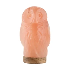 Waschbär Beleuchteter Salzkristall „Eule“ Hot