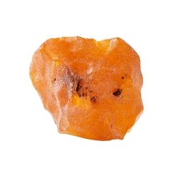 Waschbär Bernstein-Handschmeichler, naturbelassen Discount