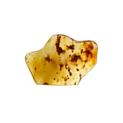 Waschbär Bernstein-Rohstein, poliert. Einzelstück. Best