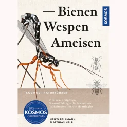 Waschbär Bienen, Wespen, Ameisen. Best