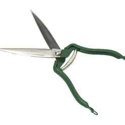 Waschbär Buchs- und Grasschere. Best