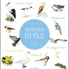 Waschbär Das große Buch der Vögel: Wunderschön illustriertes Kindersachbuch ab 7 Jahren. Was ist ein Vogel? Was fressen sie? Wie schlüpfen Küken? Wo leben sie? Wie bewegen sie sich fort?. Clearance