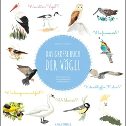 Waschbär Das große Buch der Vögel: Wunderschön illustriertes Kindersachbuch ab 7 Jahren. Was ist ein Vogel? Was fressen sie? Wie schlüpfen Küken? Wo leben sie? Wie bewegen sie sich fort?. Clearance
