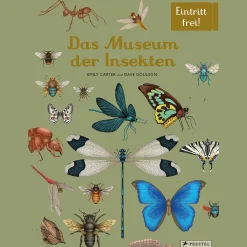 Waschbär Das Museum der Insekten. Eintritt frei! Hot