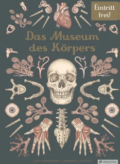 Waschbär Das Museum des Körpers. Eintritt frei! Discount