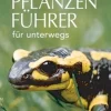 Waschbär Der BLV Tier & Pflanzenführer für unterwegs
