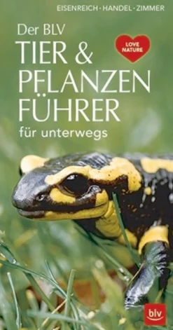 Waschbär Der BLV Tier & Pflanzenführer für unterwegs