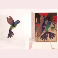 Waschbär 3D-Holzpostkarte »Kolibri«. Clearance
