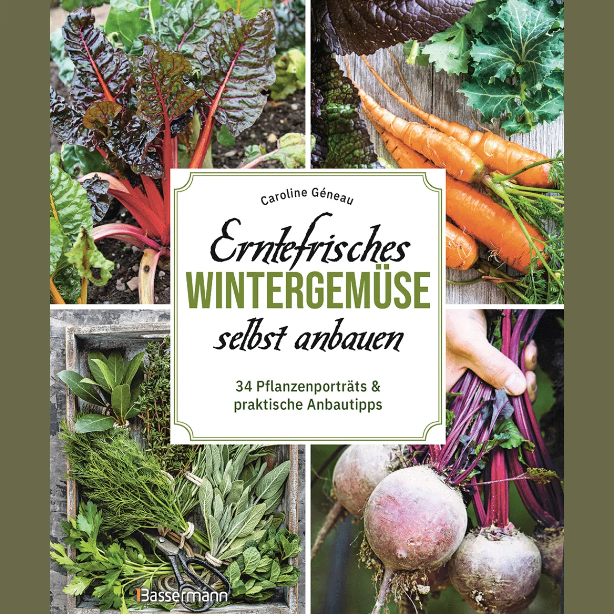 Waschbär Erntefrisches Wintergemüse selbst anbauen. 34 Pflanzenporträts & praktische Anbautipps. Sale