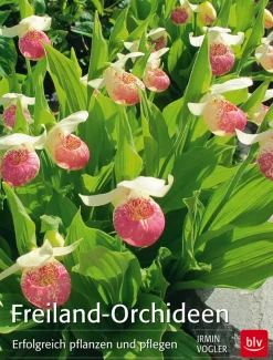 Waschbär Freiland-Orchideen. Erfolgreich pflanzen und pflegen. Online