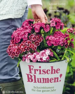 Waschbär Frische Blumen! Outlet