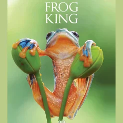 Waschbär Frog King. Der Frosch. Symbol der bedrohten Natur. Online