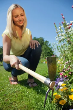 Waschbär Gartenhäckchen mit rundem Auge. New