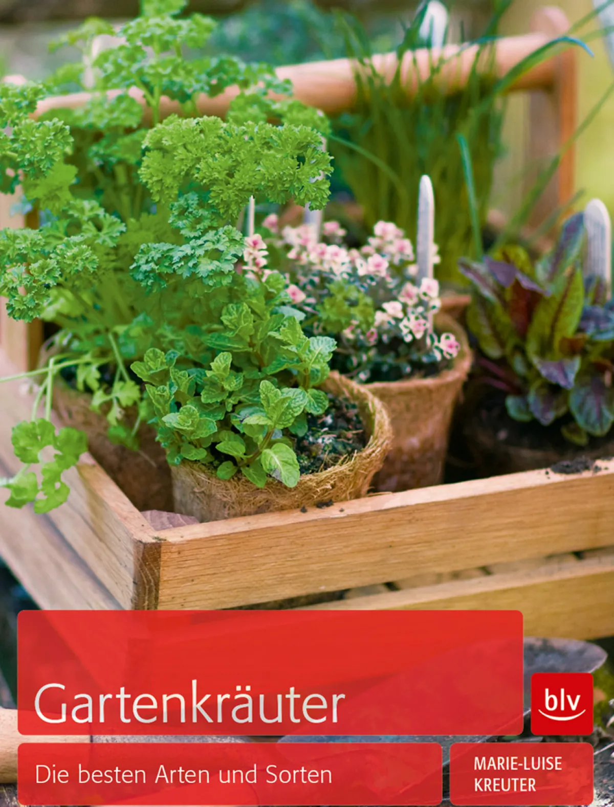 Waschbär Gartenkräuter. Die besten Arten und Sorten. Clearance