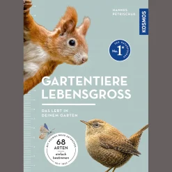 Waschbär Gartentiere lebensgroß. Clearance