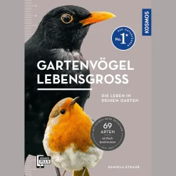 Waschbär Gartenvögel lebensgroß.