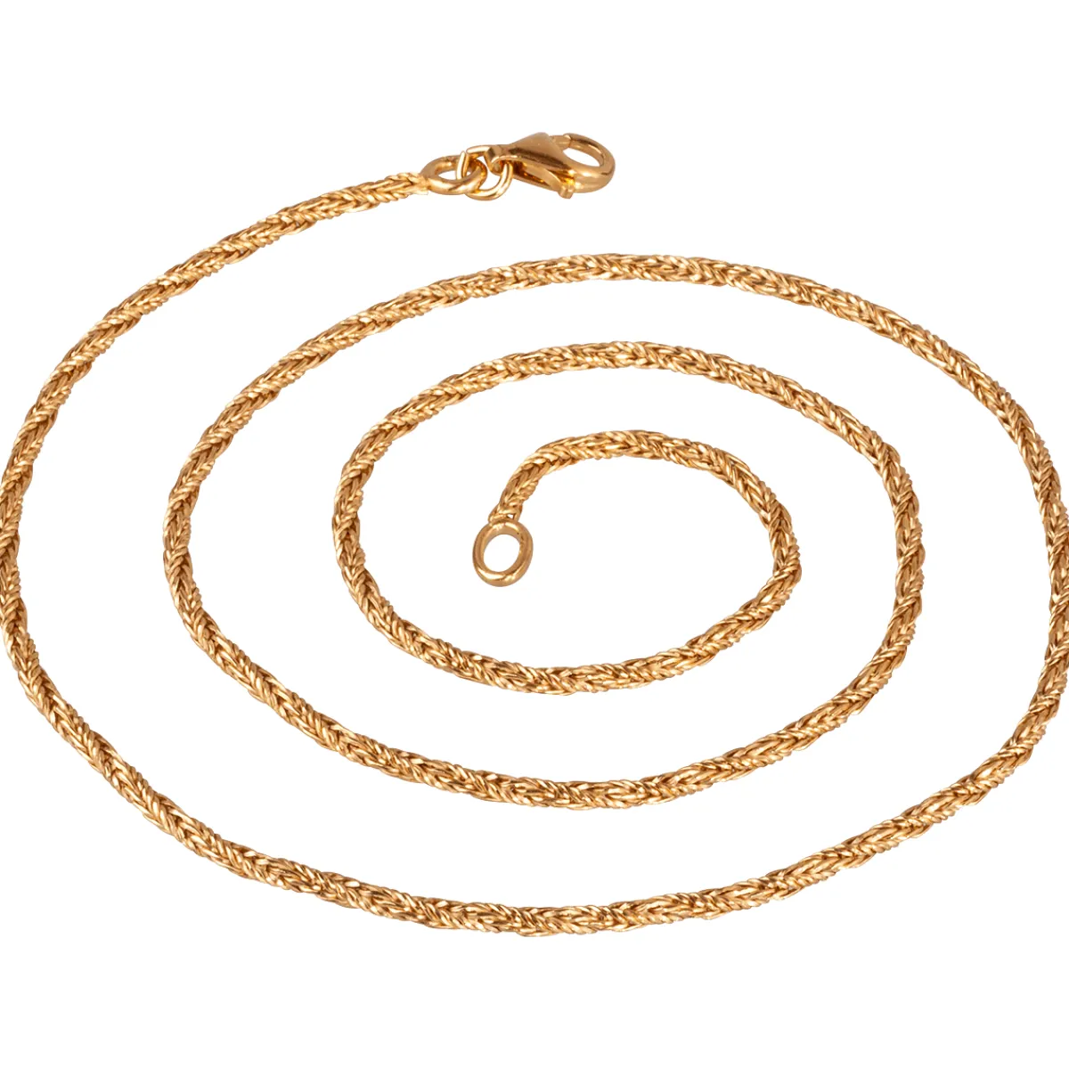 Waschbär Goldene Fuchsschwanzkette. Hot