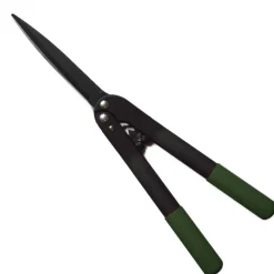 Waschbär Heckenschere. Hot