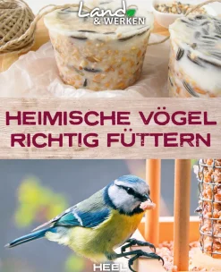 Waschbär Heimische Vögel richtig füttern. Clearance