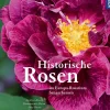 Waschbär Historische Rosen im Europa-Rosarium Sangerhausen. Sale