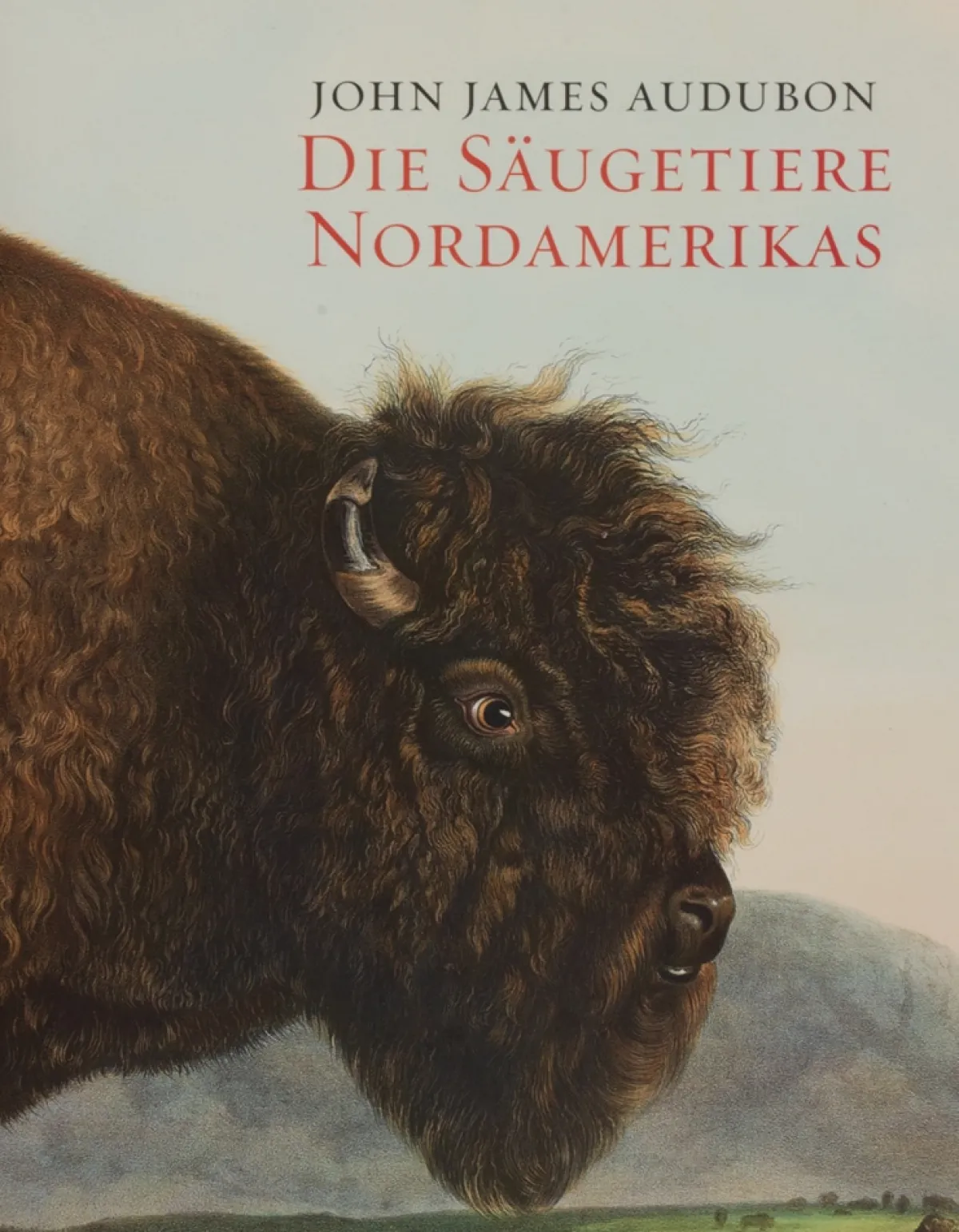 Waschbär John J. Audubon. Die Säugetiere Nordamerikas. Best