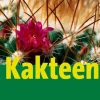Waschbär Kakteen. Outlet
