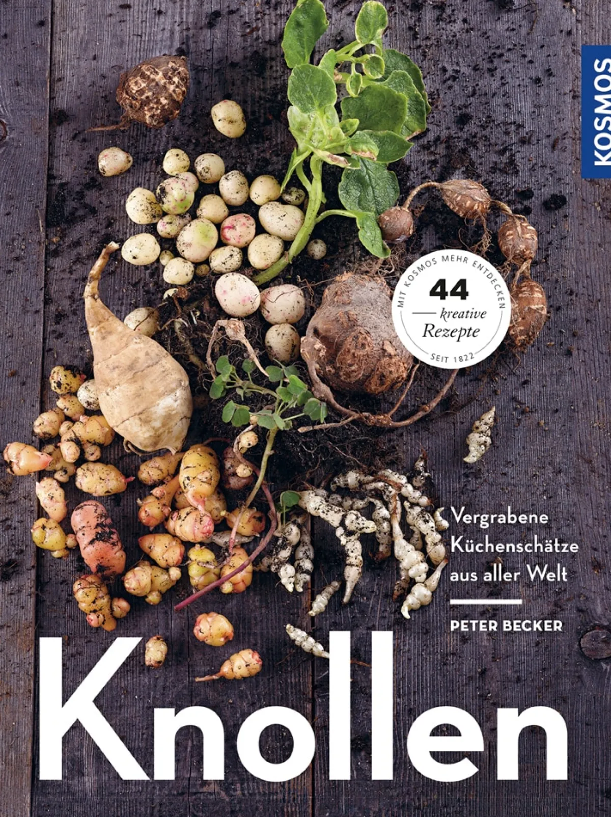 Waschbär Knollen. Vergrabene Küchenschätze aus aller Welt. Hot