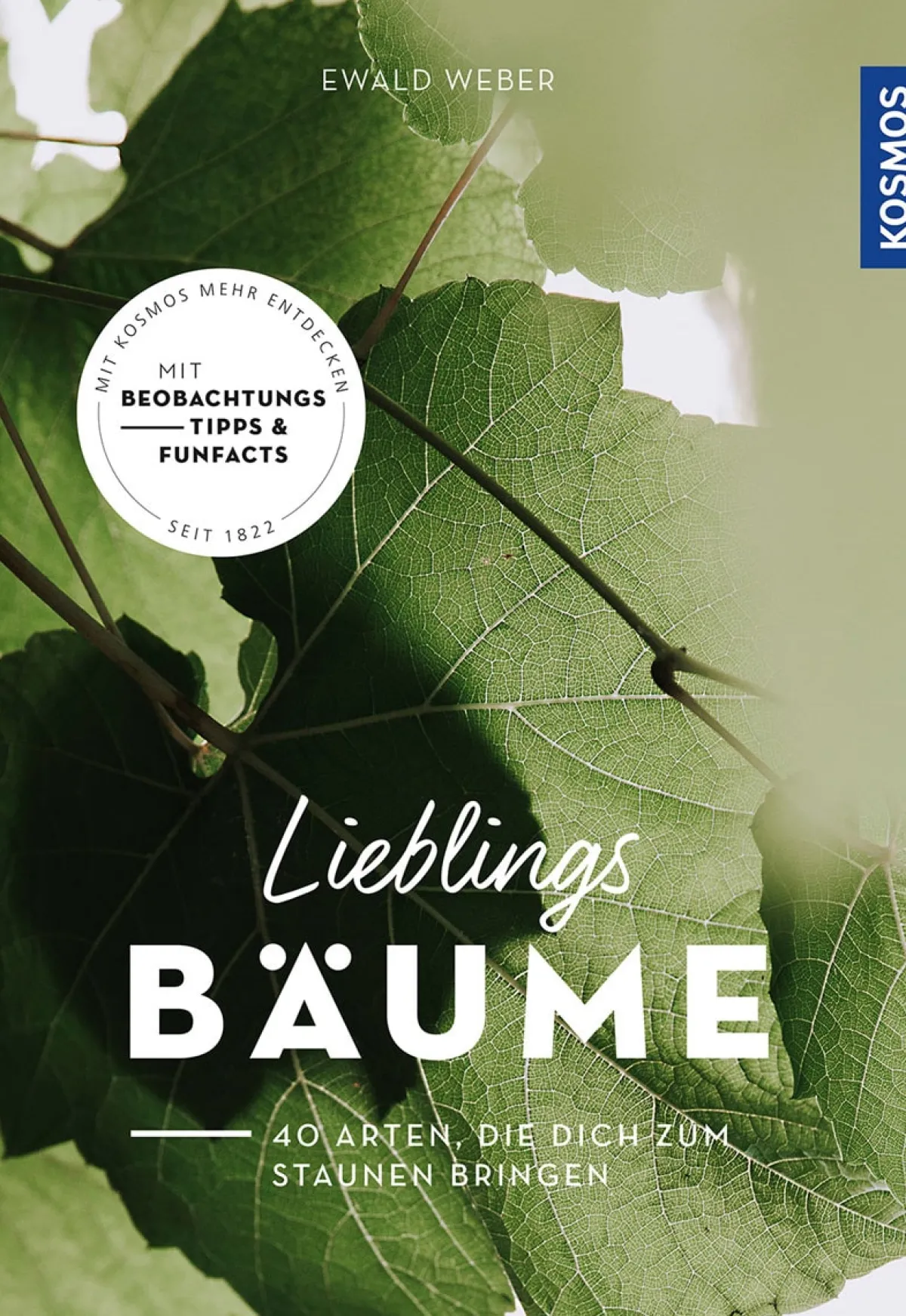 Waschbär Lieblingsbäume. 40 Arten, die dich zum Staunen bringen. Outlet