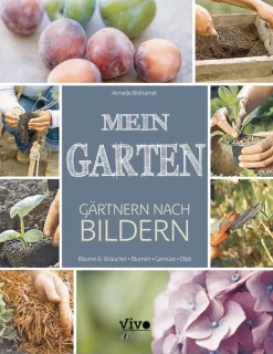 Waschbär Mein Garten - Gärtnern nach Bildern New