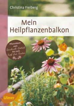 Waschbär Mein Heilpflanzenbalkon Outlet