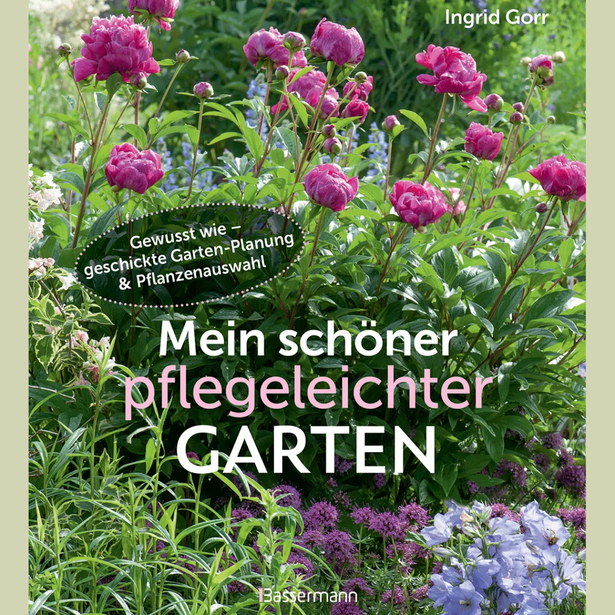 Waschbär Mein schöner pflegeleichter Garten.