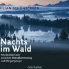 Waschbär Nachts im Wald. Wanderabenteuer zwischen Abenddämmerung und Morgengrauen. Clearance