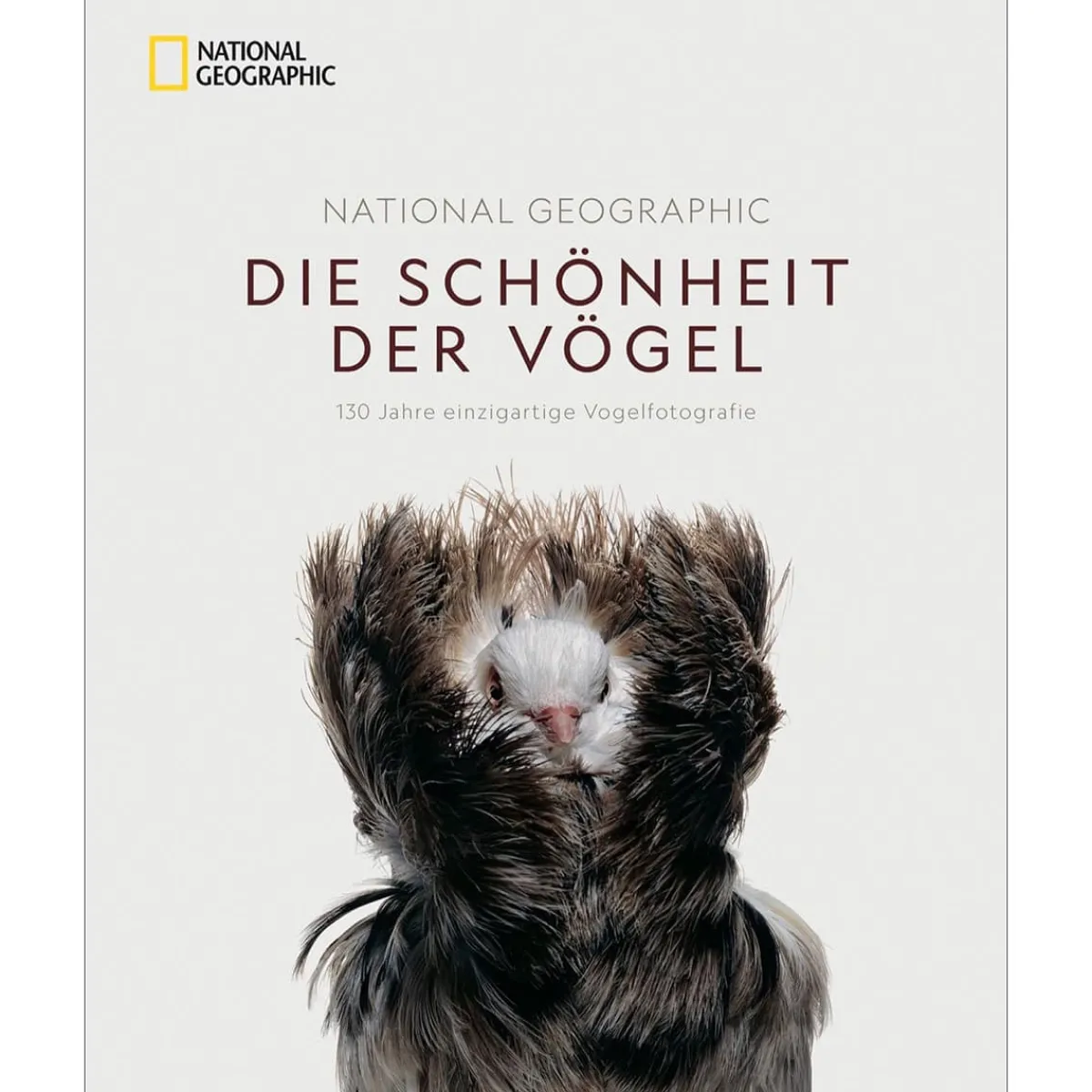 Waschbär National Geographic. Die Schönheit der Vögel. 130 Jahre einzigartige Vogelfotografie. Sale