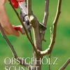 Waschbär Obstgehölzschnitt. Clearance