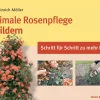 Waschbär Optimale Rosenpflege in Bildern - Schritt für Schritt zu mehr Erfolg Outlet