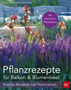 Waschbär Pflanzrezepte für Balkon und Blumenbeet. Hot