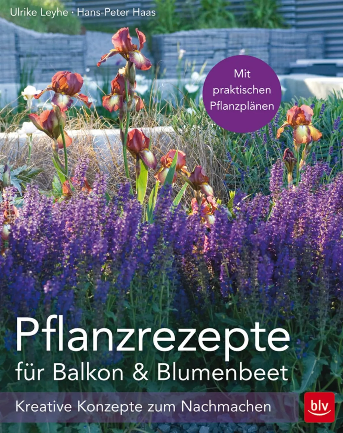 Waschbär Pflanzrezepte für Balkon und Blumenbeet. Hot