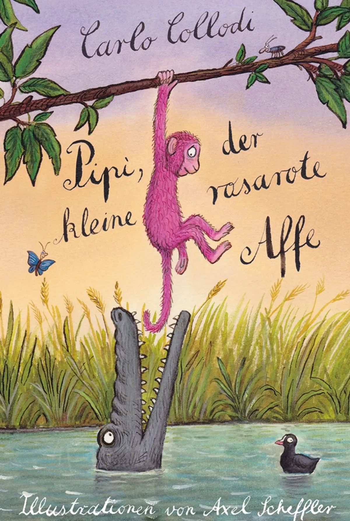 Waschbär Pipi, der kleine rosarote Affe. Sale