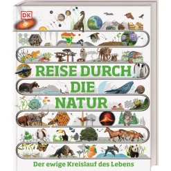 Waschbär Reise durch die Natur. Der ewige Kreislauf des Lebens. Sale